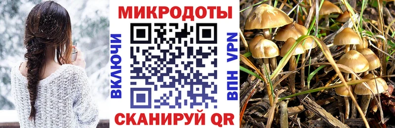 Псилоцибиновые грибы GOLDEN TEACHER  Заволжье 