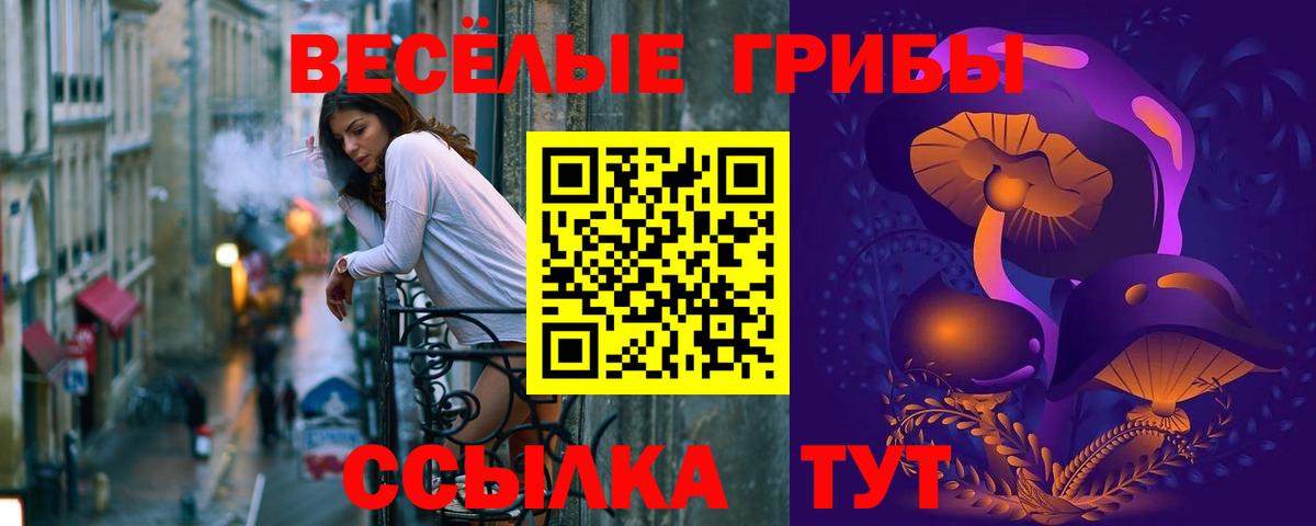 Галлюциногенные грибы Psilocybine cubensis  Псилоцибиновые грибы Cubensis  Вход с VPN  Заволжье 