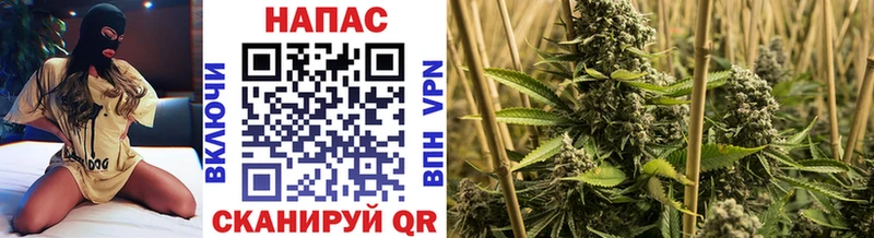 это как зайти Заволжье Конопля White Widow